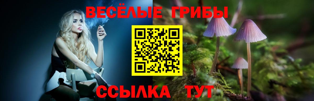 Галлюциногенные грибы мицелий Вичуга